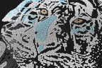 New Sweatshirt Tiger